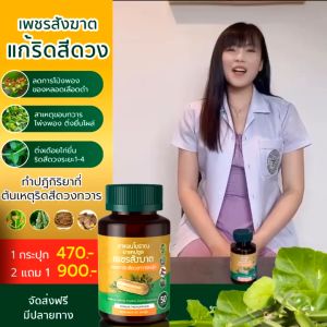 เพชรสังฆาต ริดสีดวง สมุนไพรเพชรสังฆาต Hemorrhoids SN9 Hemorrhoids Pain Relief - ยาริดสีดวง ยาแผนไทย