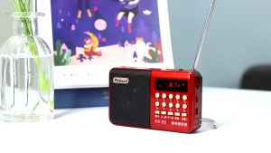 ĐÀI RADIO FM NGHE NHẠC QUA USB VÀ THẺ NHỚ-Đài Phát Thanh Kỹ Thuật Số Loa Di Động Mini FM Radio USB
