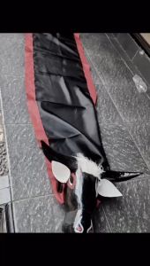 Mainan Banteng / Bantengan Polos Bahan Kayu Free Kemul Banteng Tanduk dan Bantengan Sungu Kayu