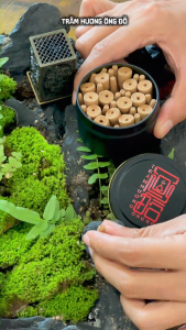 Lư Mini Tứ Quý Xông Nhang Trầm Hương