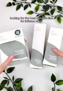 Isntree Mugwort Calming Clay Mask | Cream | Ampoule | Powder Wash by SkinCaring18 SK
