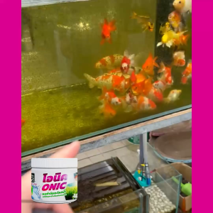 โอนิค – ผงกำจัดตะไคร่ คืนความใสให้น้ำบ่อปลา