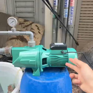 Máy bơm nước con lợn 1.5Kw (2HP) Cánh Đồng Taifu TJSW/20M - Máy bơm nước đầu lợn bán chân không tự mồi