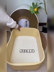 YALISONG | Odor Control & Sterilizing Kitten Cat Litter 20kg
