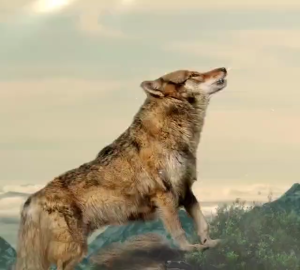 Urbanwolf Adventures 1KG Repack Grain Free(Ocean Fish /Salmon/ Turkey & Chicken /Caught Fish /Mix Flavor/Urinary Kidney Care/Beautiful Hair)Dry Cat Food/Makanan Kucing猫粮干粮