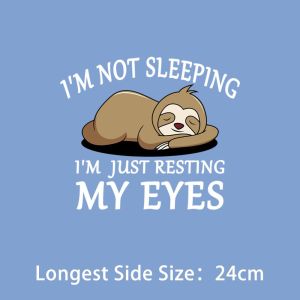 Not Fast Not Furious Sloth Heat Transfer Sticker High Definition Diyprint Iron-On Patches For Hoodie Washable Applique Decor