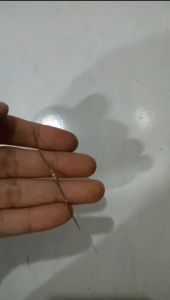 Sparepart Travo R 220 3/4W Mesin Travo Las Alat Teknik Bengkel Besi Stainless Per 3 Pcs