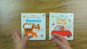 Usborne Very First Words Library Series