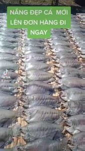 Khô Cá Sặc Bổi loại 1 Thượng Hạng. Mua Ngay Làm Quà Biếu Đặc Sản  Giá Rẻ