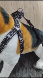 Tali Tuntun Anjing Kucing Motif Polyester Harnes Hewan Pet Harness Leash Dog Cat