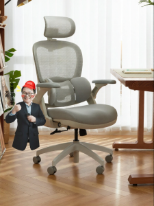 BOJOJAN | Ergonomic Study Chair For Teenagers