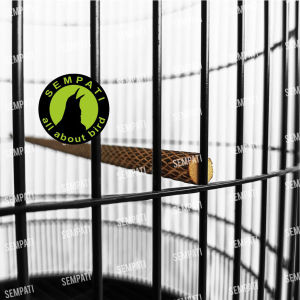 SEMPATI Tangkringan Bakar Sisik Ular Tangkringan Murai Kenari Kacer Poksay Tangkringan Sangkar Kandang Burung Salak Bakar Sangkar Burung Panjang 100cm 1 meter