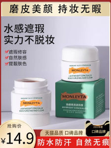 Powerful Concealer Foundation Liquid for Makeup Artists Dark Circles under Eye Bags Face Acne Scar Tattoo Highlighting CC Cream