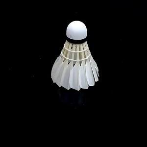 【SG Inventory】Peak genuine badminton 12 pack of competition training badminton professional and durable white goose badminton