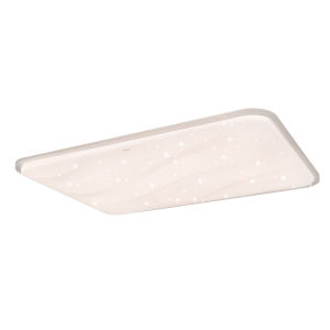 Philips | Eye-Protective Full Spectrum Ceiling Light