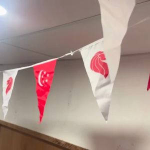 Singapore Flag Triangle Bunting Red & White STRING (5 metres) 20 strings per quantity selected