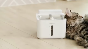 Greenpets Pet Water Fountain For Cat 3L Wireless Dog Water Dispenser With Filter And Stainless Bowl Cat Accessories