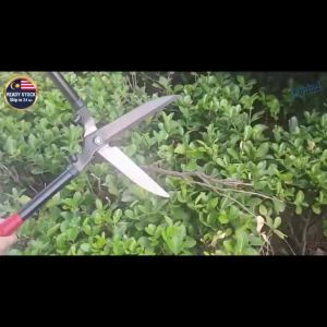 Garden Plant Flower Grass Scissors Cutter Tree Shears Trimmer Branch Pruner Tool Alat Gunting Pokok Rumput Bunga