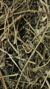 半支莲 100g Scutellaria barbata 向天盏