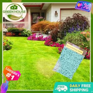 Green House® - Bermuda Grass Seeds Scotts Turf Builder COATED (800 Seed) Gardening Decoration Lawn/Garden/Park