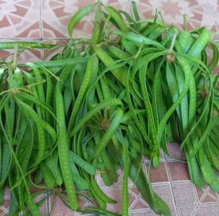 Mashinadagi yalangoch xotini fotosurati Mashinadagi yalangoch xotini fotosurati