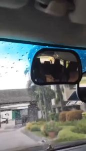 Car Seat Back Rear View Mirror For Baby Mini Safety Convex Mirrors Kids Monitor P2464