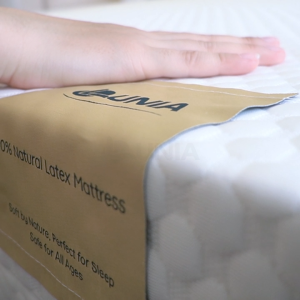 Nệm Cao Su Thiên Nhiên 100% LUNIA | Cao 10CM Màu Trắng
