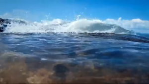 READY DOLPHIN Perahu Karet 2 Orang untuk memancing mancing Boat Inflatable Fishing XC713