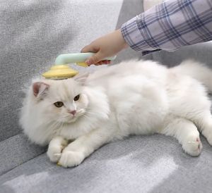 AJPET Super Comfy Pet Brush Massage Comb Pet Hair Removal Comb Cat Dog Massage Comb Sikat Kucing Berus Pumpkin Shape 宠物梳子 猫梳子 猫咪梳毛刷 去浮毛