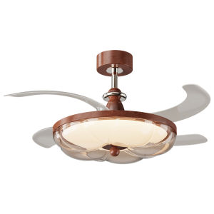 DGY | Eye-Protecting Ceiling Fan Light