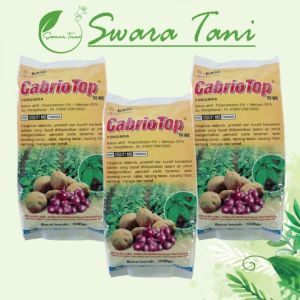 FUNGISIDA - CABRIOTOP 60 WG - 250/500 gr - BASF obat bercak daun busuk daun busuk buah