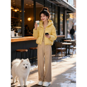 Shalldoer | Winter Fashion Two-piece Set Hooded Short Puffer Coat High Waist Wide Leg Pants