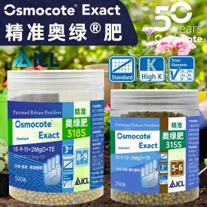 Ao Lu Fei No. 1 Rose Special Succulent A2 Orchid Potted Impo Mobile Phone Accessories Digital Electronics Accessories