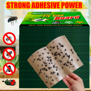 10-100Pcs Fly Catcher Glue Board / Fly Trap Board / Kitchen Fruit Flies Glue Board Traps