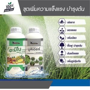 ปุ๋ยน้ํา อะมิโน + บูสเตอร์สีเงิน (ชุดบํารุงต้น)