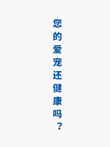 Pet Multi-Vitamin Tablets Dog Cat 宠物 狗狗 猫咪 维生素片 Pet Nutrition Supplement 宠物营养补充剂