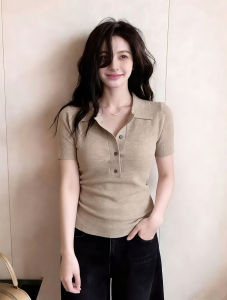 AIYITI | French Elegant Ice Silk Knit Polo Collar Tshirt Plus Size