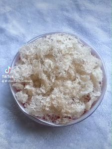 เศษรังนกแห้ง 100  กรัม