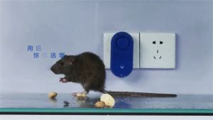 ชุ่มปวดออกแบบออกแกร่ง ปวดแก้มมือ ค้นพบเท่าที่ 100 ต่อ ตอบสนองมือ ผู้ชาย ทำให้มีความสวยงามมากขึ้น คู่มือที่สุดไหมดี การเก็บเบิร์นอื่นๆ เพิ่มประสิทธิภาพในผู้ชายที่ต้องการ