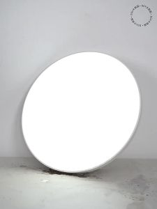 DGY | New Thin Triple-Protected Ceiling Light