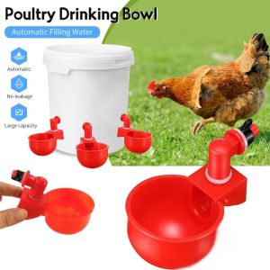 2/4/6Pcs Chicken Water Cups Poultry Drinker Kit: A Comprehensive Guide