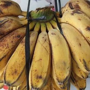 pisang kepok kuning 1 sisir
