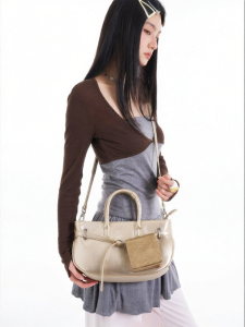 JANDRESS | Champagne Gold Light Elegant Small Crossbody and Handbag