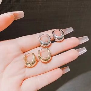 🔥IVY Korean light luxury high-end niche earrings French metal earrings for women cold style ins style temperament earrings Internet celebrity retro simple earrings
