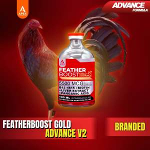 Featherboost Gold Advance V2 B12+B15 for Conditioning and Pointing (For animals use only!)
