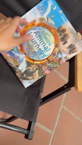 (Bìa cứng in màu) AMAZING ANIMAL JOURNEY – Những Chuyến Di Cư Và Hành Trình Phi Thường Nhất – Philippa Forrester – Phạm Trang dịch – Đinh Tị – NXB Hà Nội