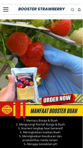 Booster Tanaman Strawberry / Pupuk Booster Hayati Khusus Tanaman Strawberry