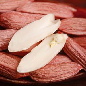 Dried Roasted Peanuts with Five Spices 500g