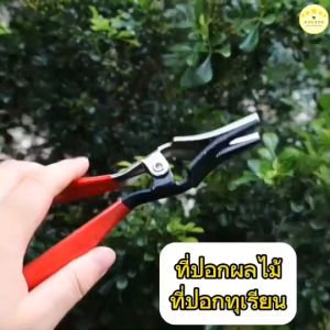 KUDSUN  ที่ปอกผลไม้ คีมปอกทุเรียน วัสดุสแตนเลส ด้ามจับหุ้มด้วยยาง จับถนัดมือ ใช้งานง่ายประหยัดเวลา แข็งแรง ทนทาน Pliers Clamp Fruit Opening Tool