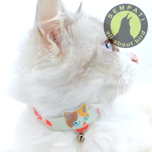 SEMPATI GROSIR Kalung Kucing Lonceng Glow In The Dark Motif Kittydom Isi 10 Pcs  Kalung Leher Kucing Anjing Cat Dog Kitten Adult Puppy Anabul Pet Cat Collar Neck Strap With Bell Collar Adjustable Safety Bell
